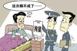 雅安债务清欠服务